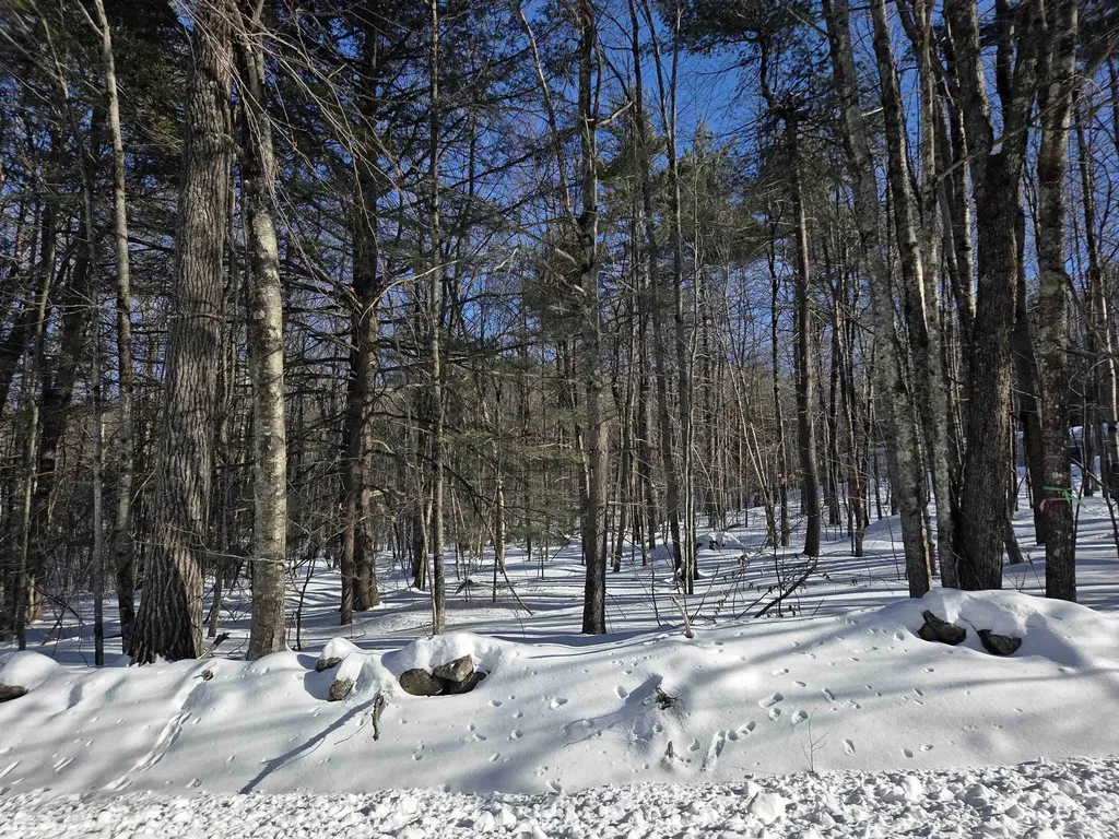 164 Lot 18-2 Mason Road Milton NH 03851