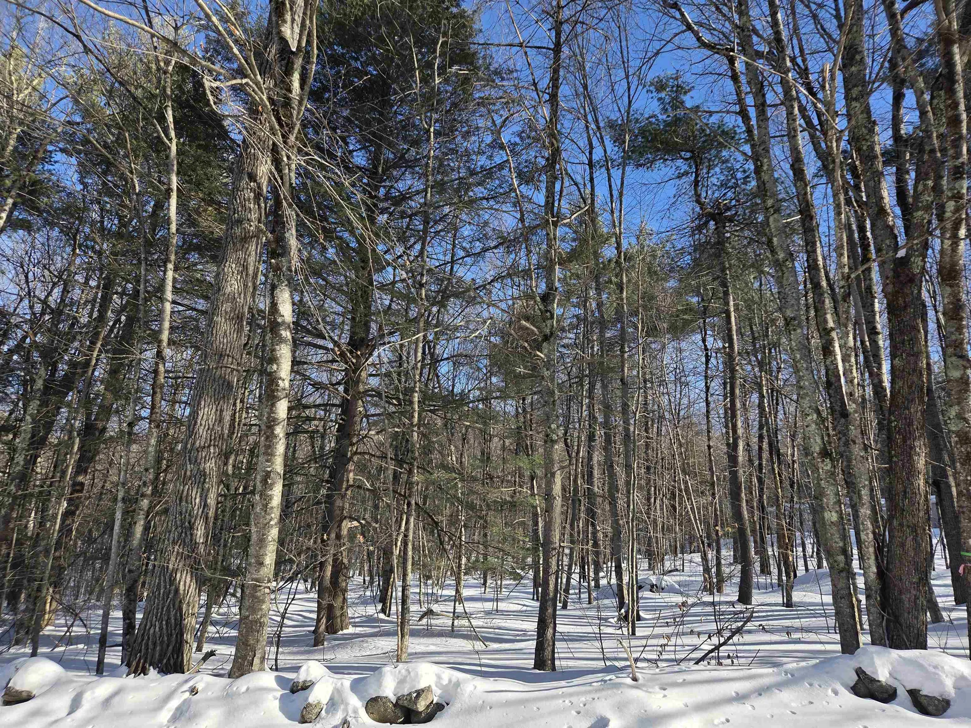 164 Lot 18-2 Mason Road Milton NH 03851