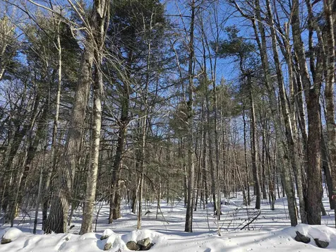 164 Lot 18-1 Mason Road Milton NH 03851
