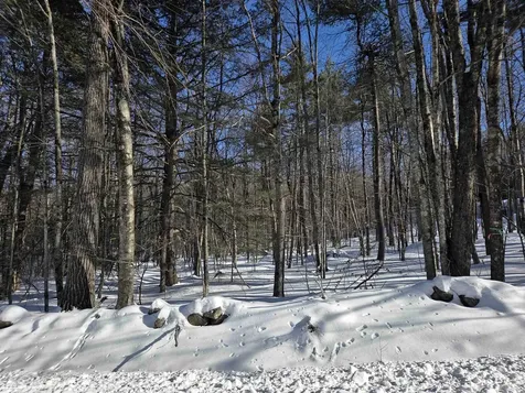 164 Lot 18-1 Mason Road Milton NH 03851