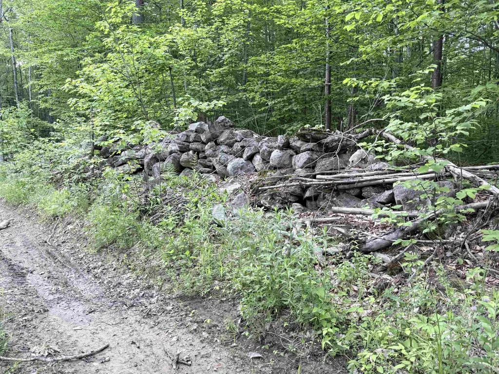 2183 Route 103 Shrewsbury VT 05738