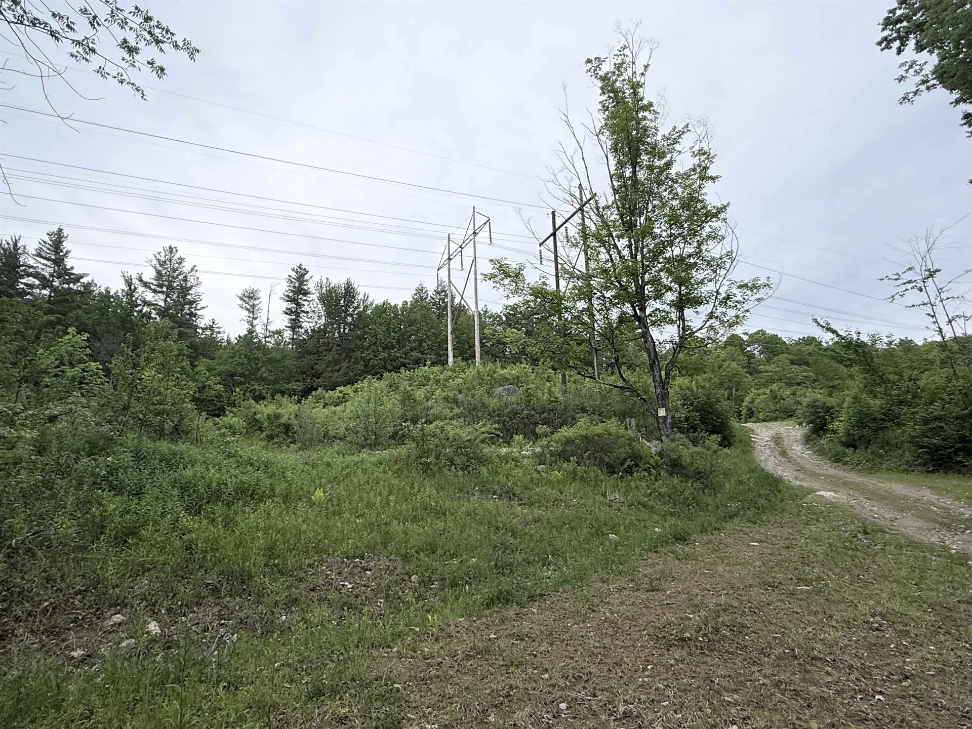 2183 Route 103 Shrewsbury VT 05738