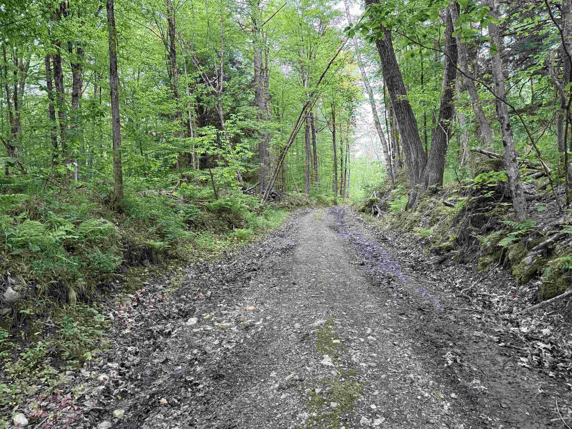 2183 Route 103 Shrewsbury VT 05738