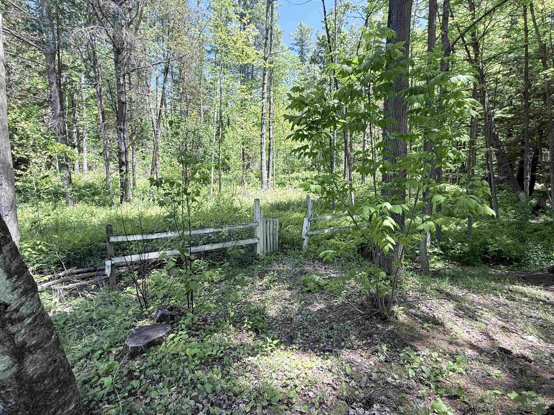 2183 Route 103 Shrewsbury VT 05738