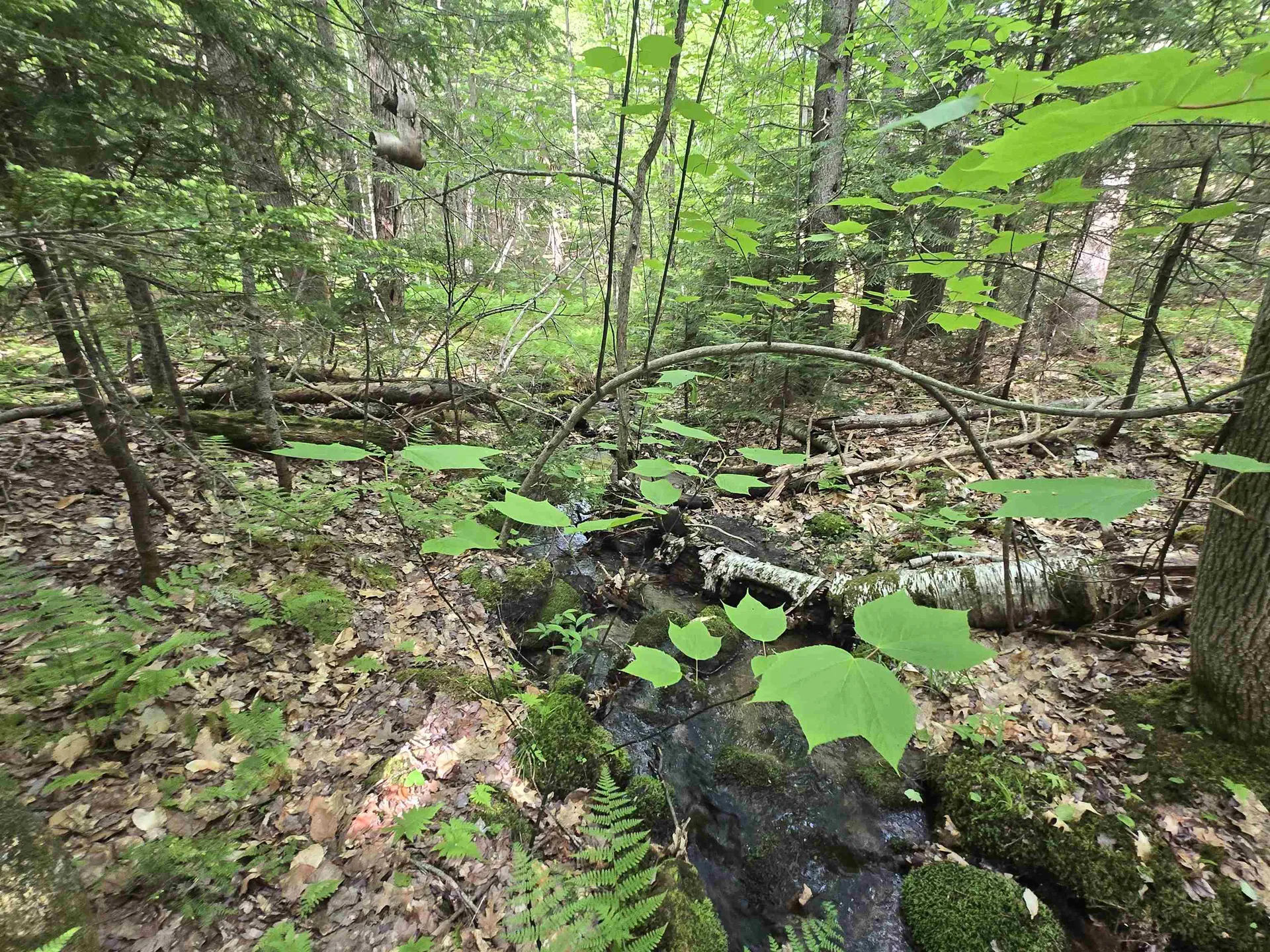 0 Thorn Hill Road Jackson NH 03845