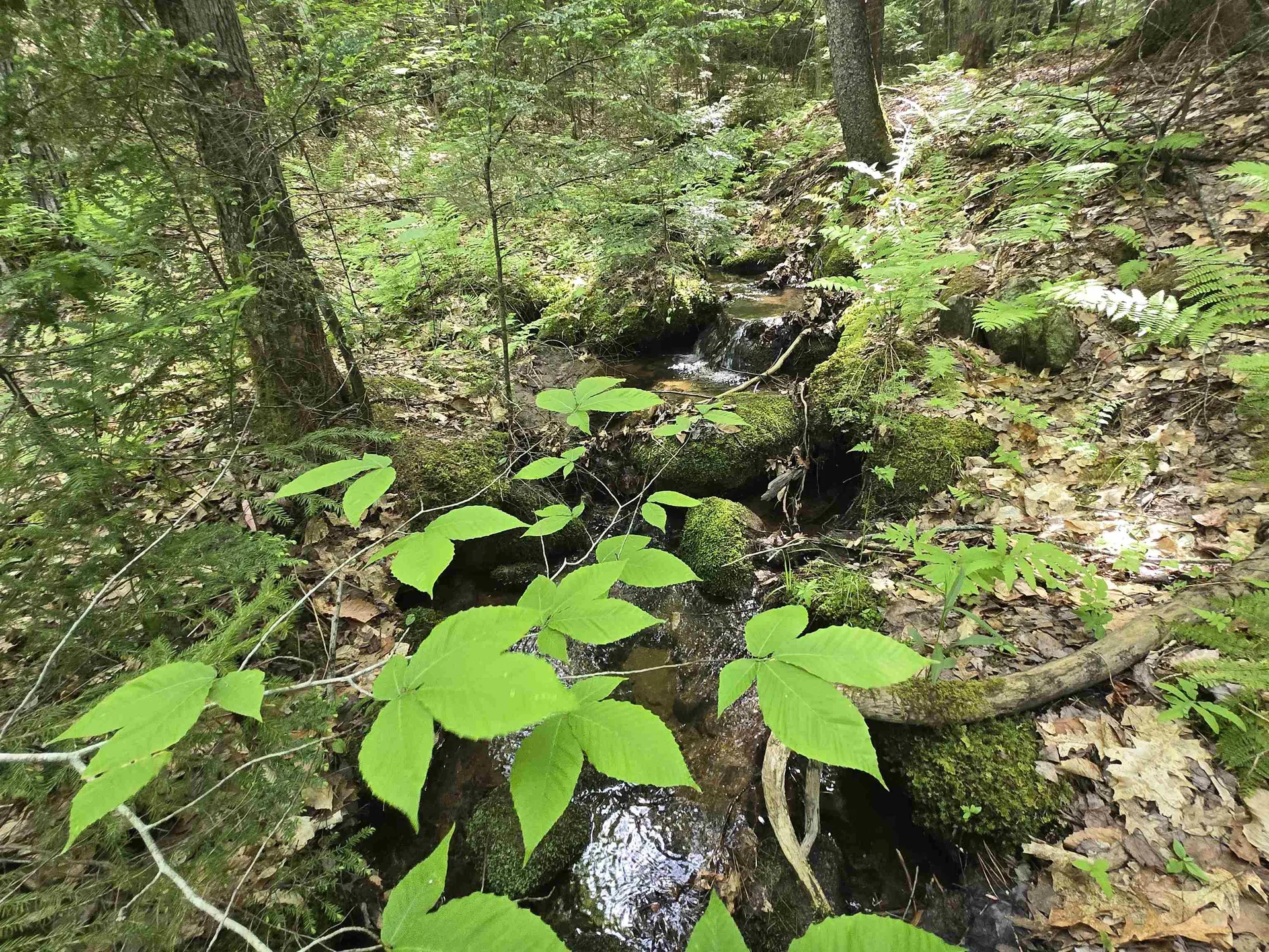 0 Thorn Hill Road Jackson NH 03845