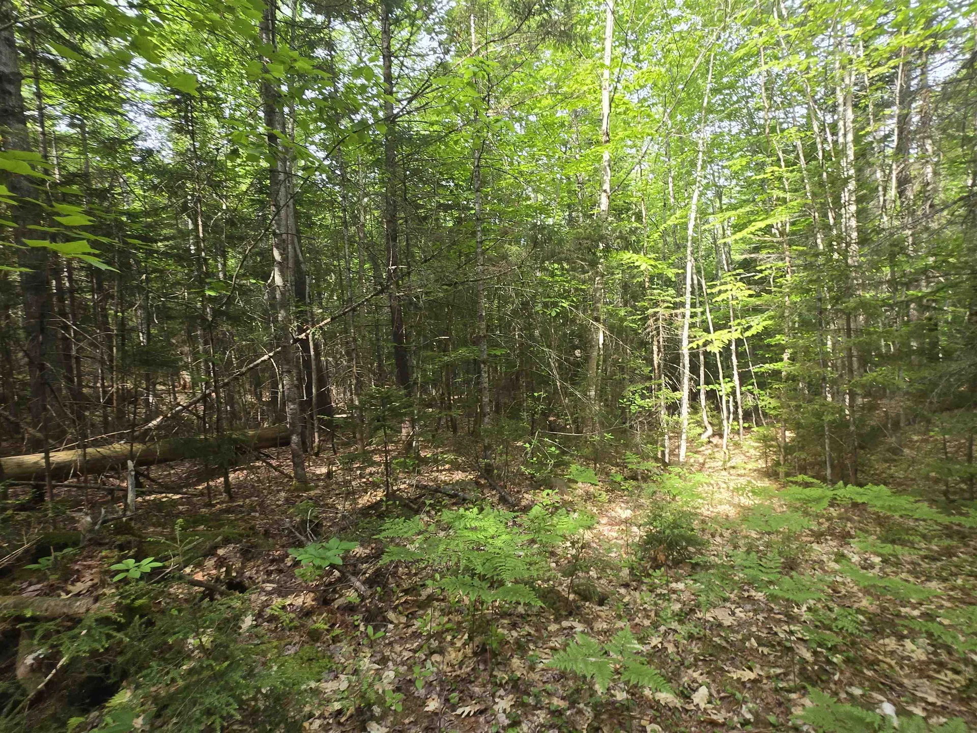 0 Thorn Hill Road Jackson NH 03845