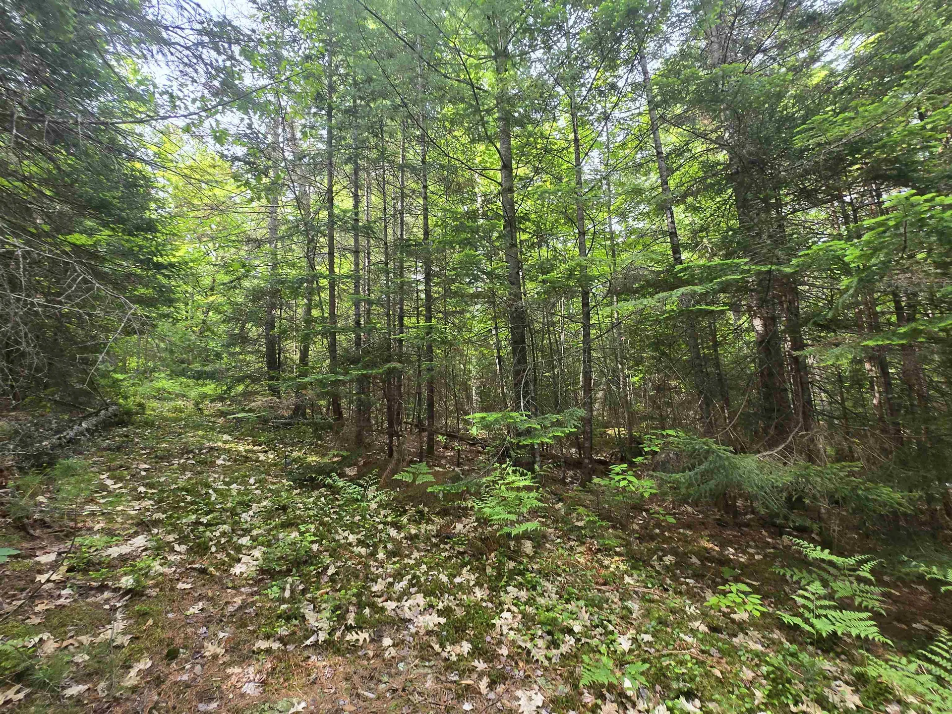 0 Thorn Hill Road Jackson NH 03845