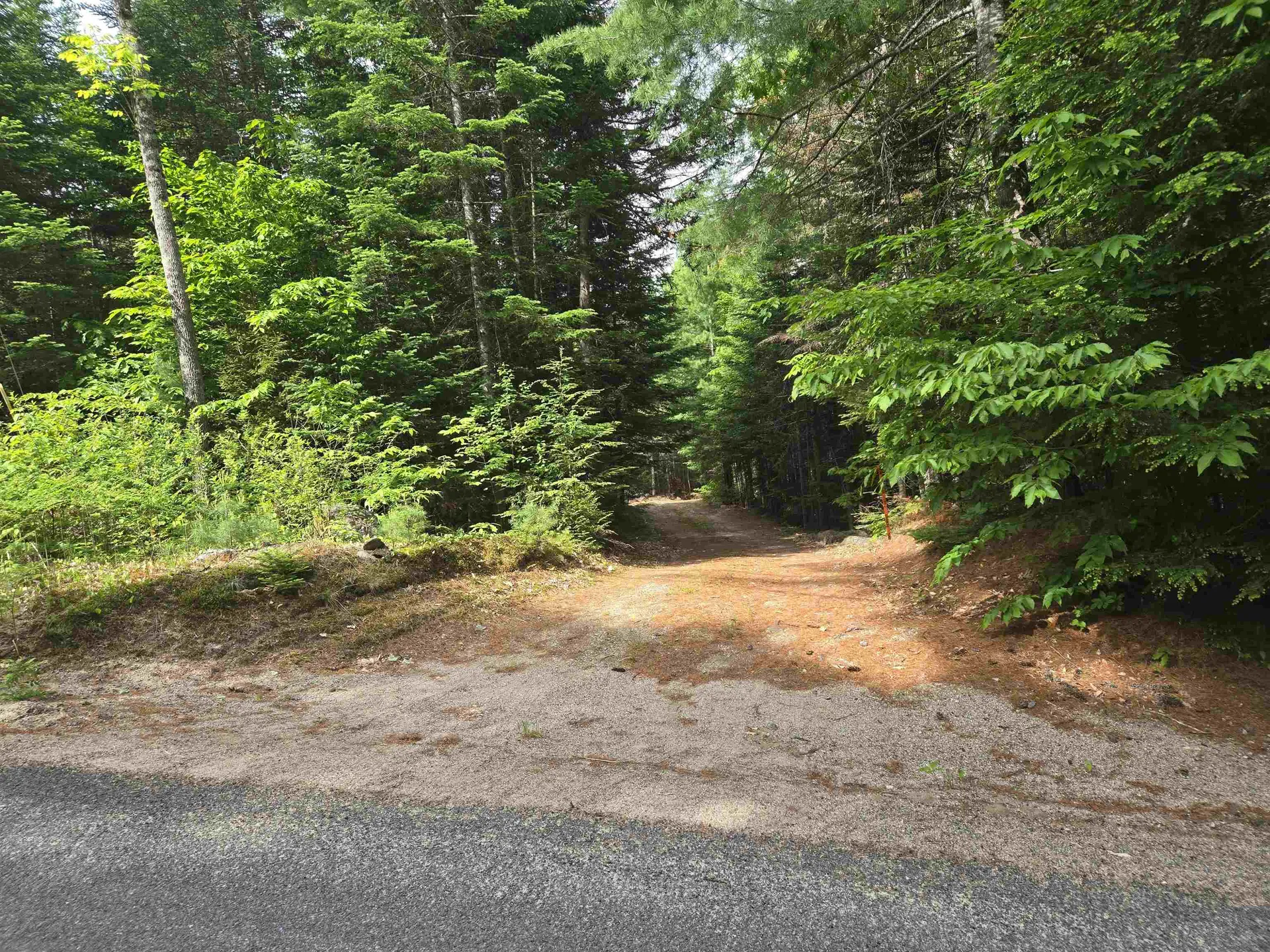 0 Thorn Hill Road Jackson NH 03845