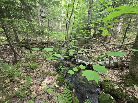 0 Thorn Hill Road Jackson NH 03845
