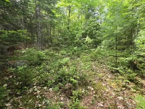 0 Thorn Hill Road Jackson NH 03845