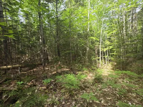 0 Thorn Hill Road Jackson NH 03845
