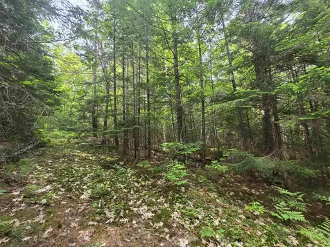 0 Thorn Hill Road Jackson NH 03845