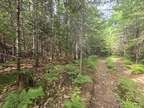 0 Thorn Hill Road Jackson NH 03845