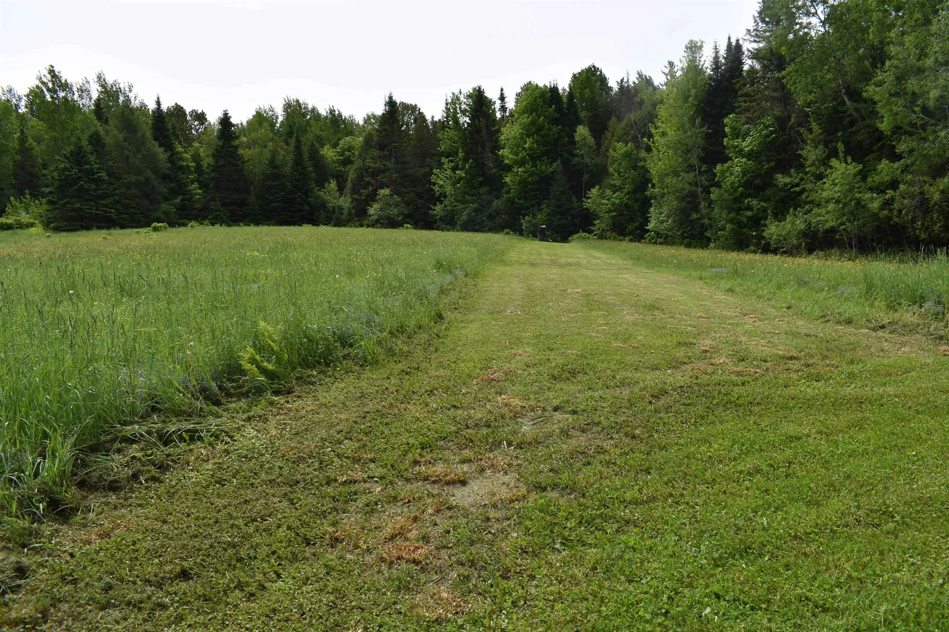 752 Cook Road Barton VT 05822-0