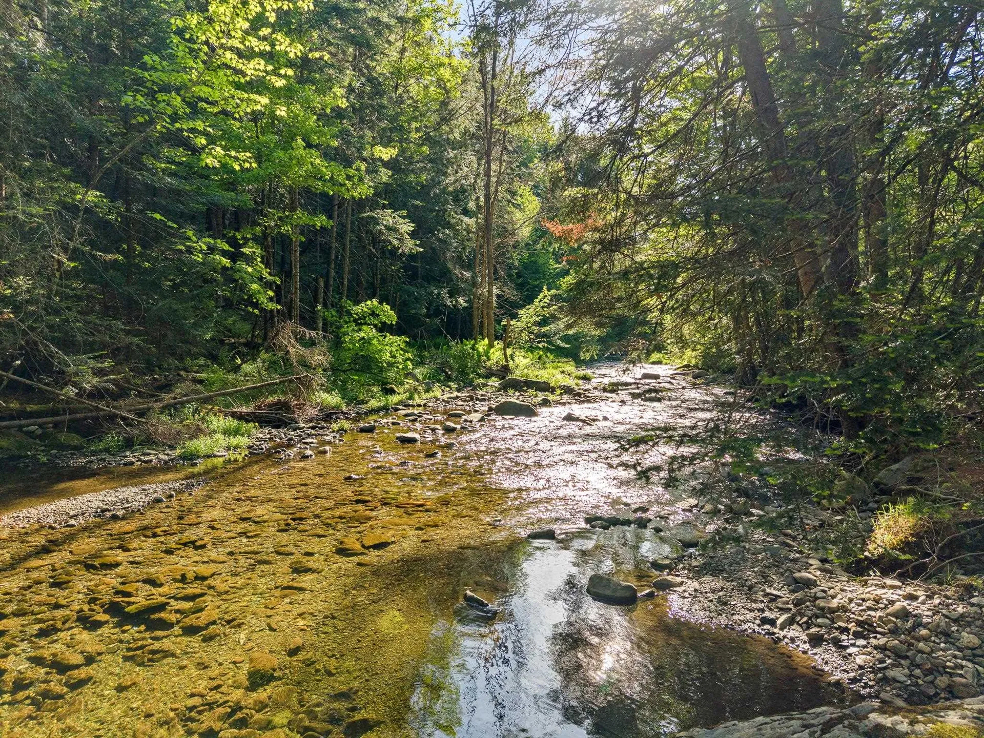 1754 Brook Road Warren VT 05674