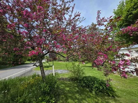2731 Vt Route 232 Marshfield VT 05658