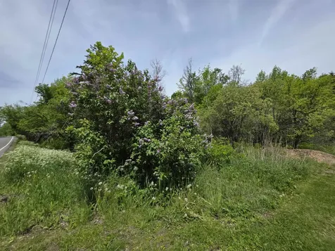 2731 Vt Route 232 Marshfield VT 05658-8050