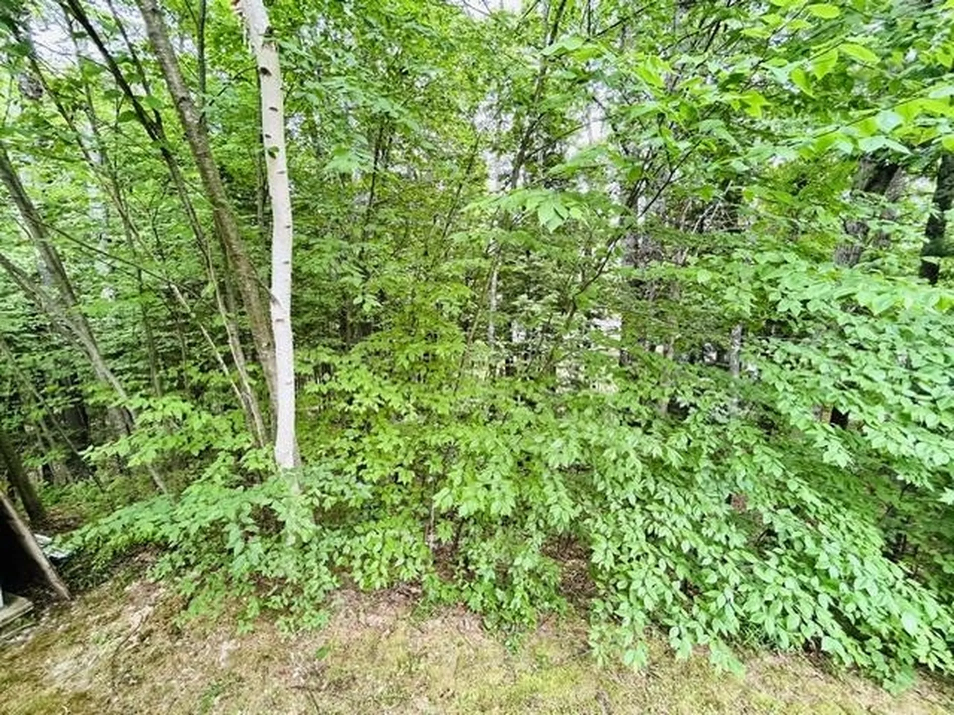 50 Hoit Mill Road Weare NH 03281