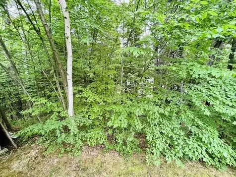 50 Hoit Mill Road Weare NH 03281