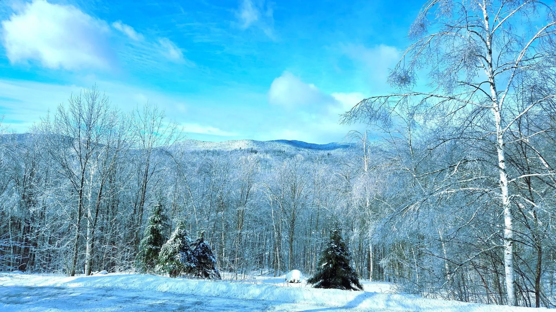 460 Bull Moose Ridge Road Stowe VT 05672