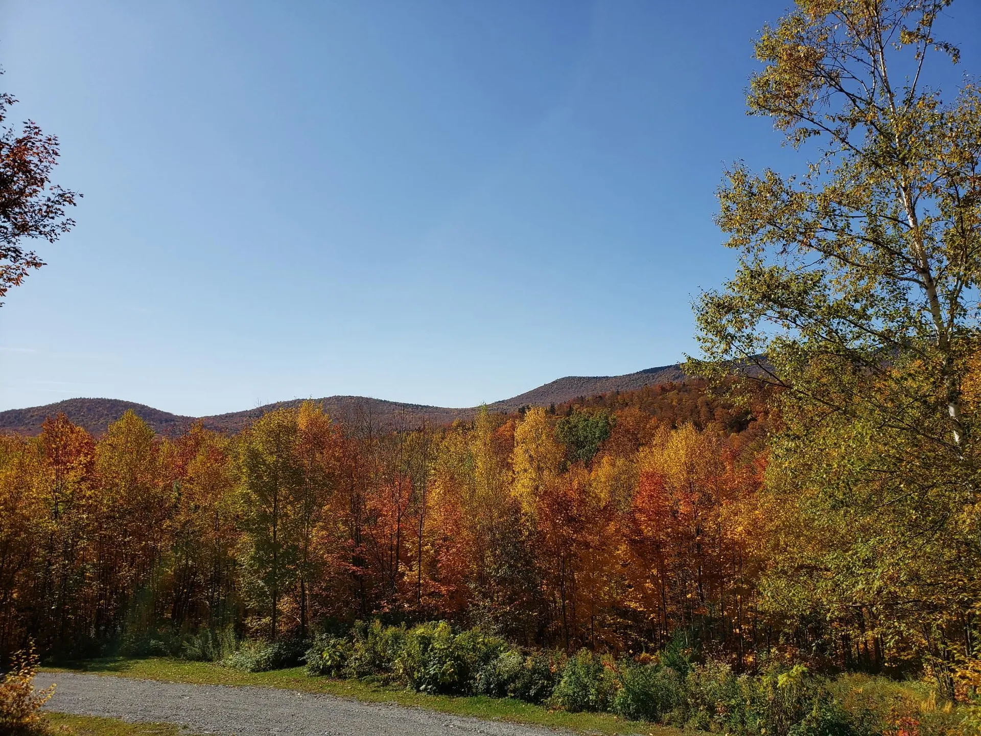 460 Bull Moose Ridge Road Stowe VT 05672