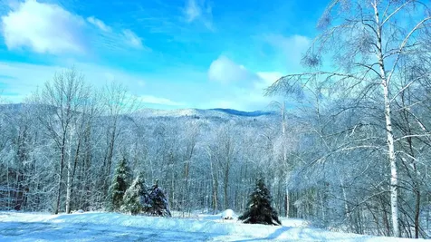 460 Bull Moose Ridge Road Stowe VT 05672