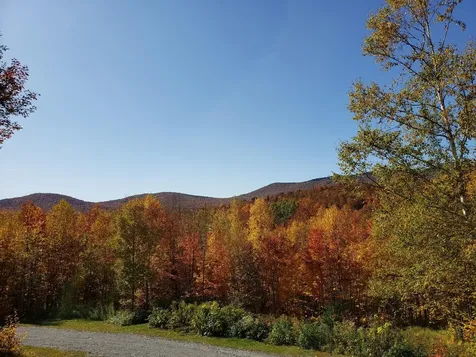460 Bull Moose Ridge Road Stowe VT 05672