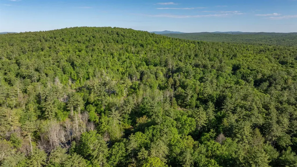 Map G, Lot 4 Cleveland Hill Road Brookline NH 03033