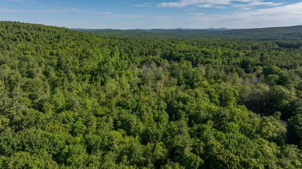 Map G, Lot 4 Cleveland Hill Road Brookline NH 03033