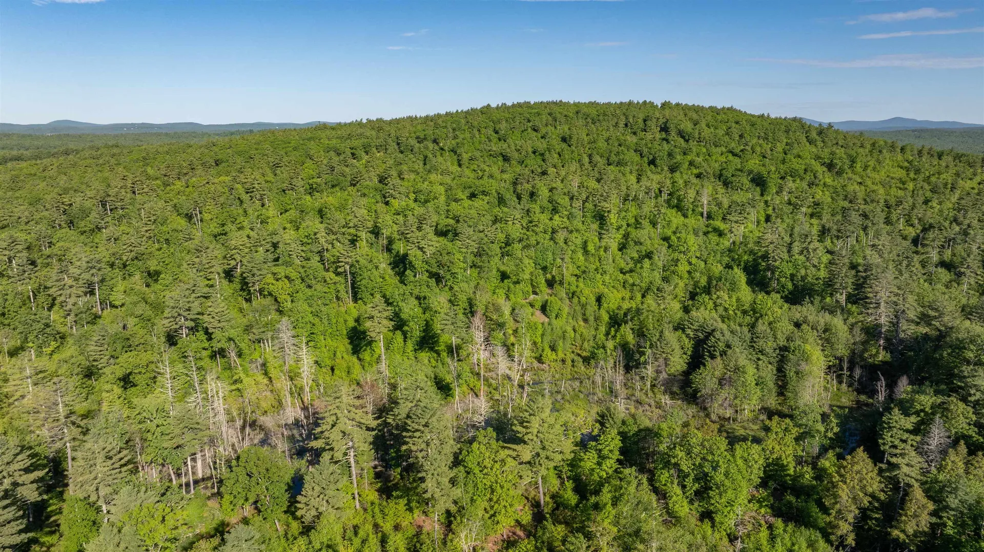 Map G, Lot 4 Cleveland Hill Road Brookline NH 03033