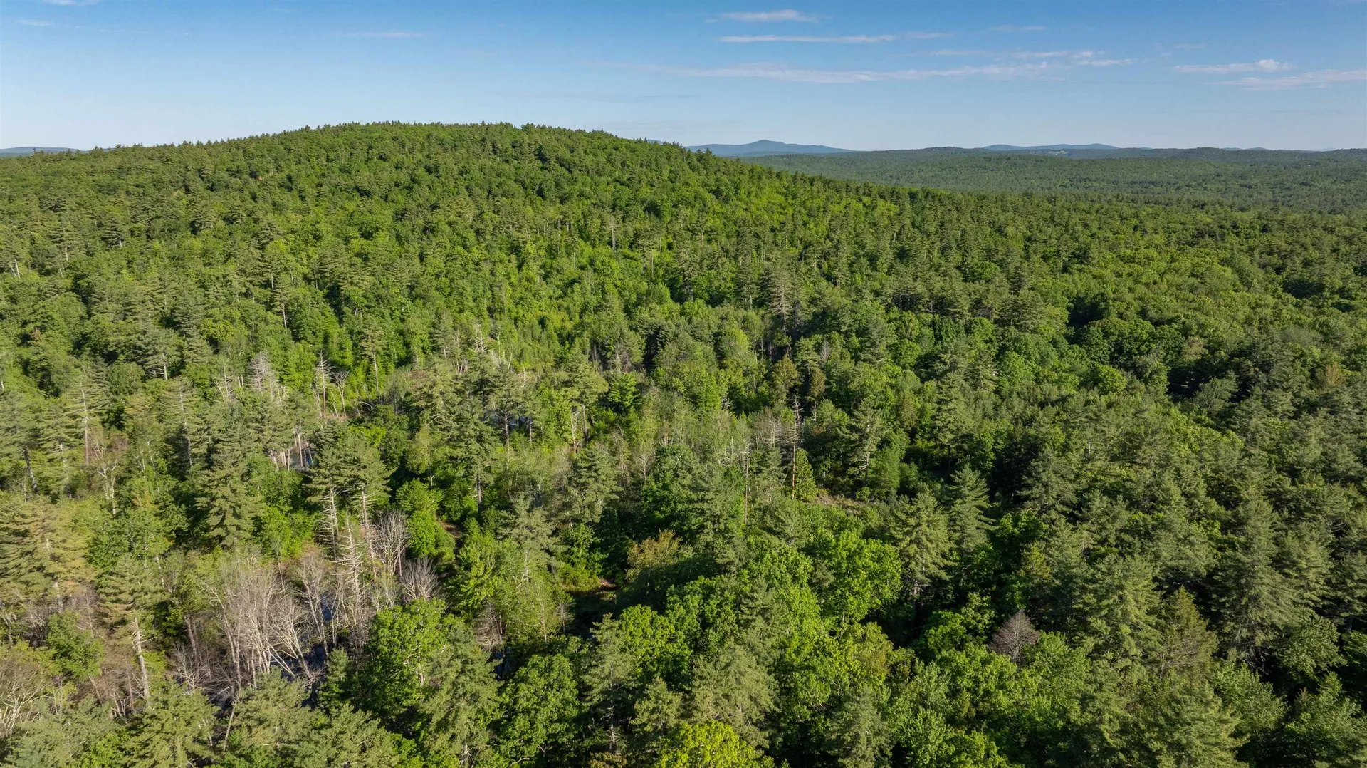 Map G, Lot 4 Cleveland Hill Road Brookline NH 03033