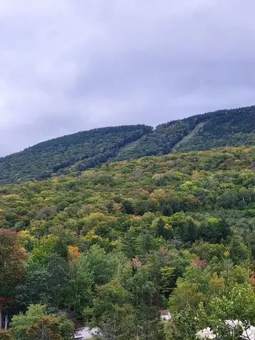 22 South Mountain Drive Lincoln NH 03251