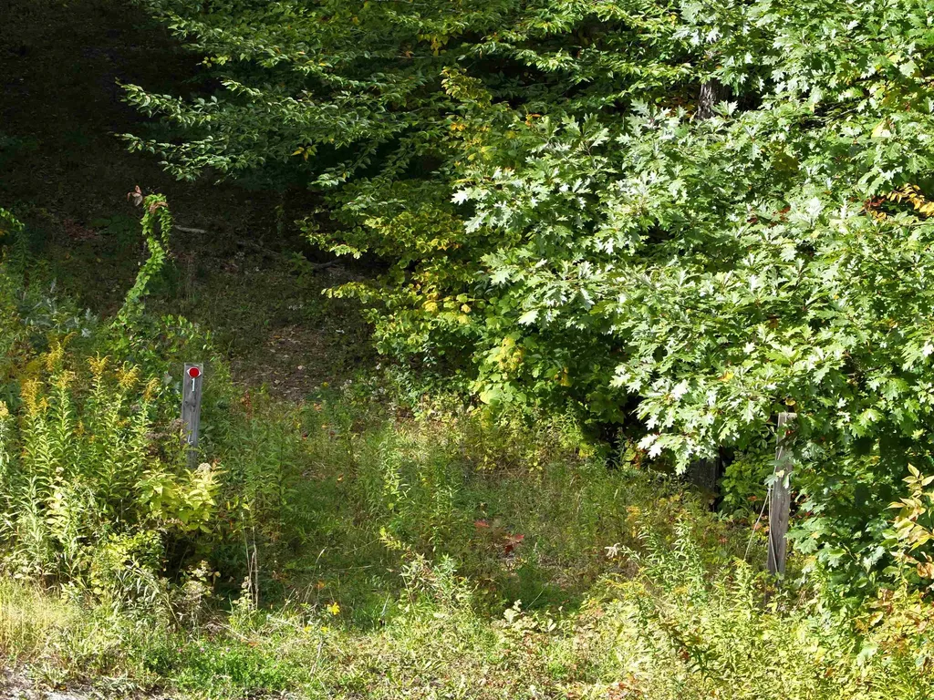 1297 River Road Jamaica VT 05343