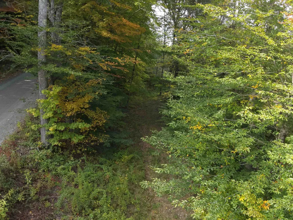 1297 River Road Jamaica VT 05343