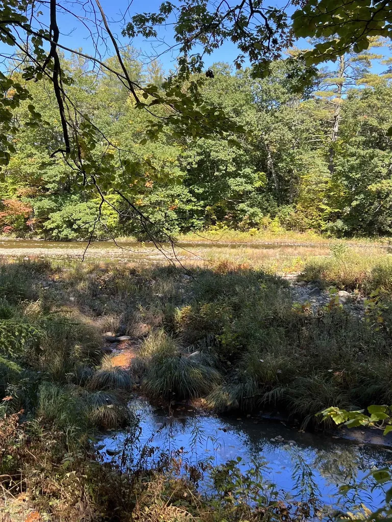 1297 River Road Jamaica VT 05343