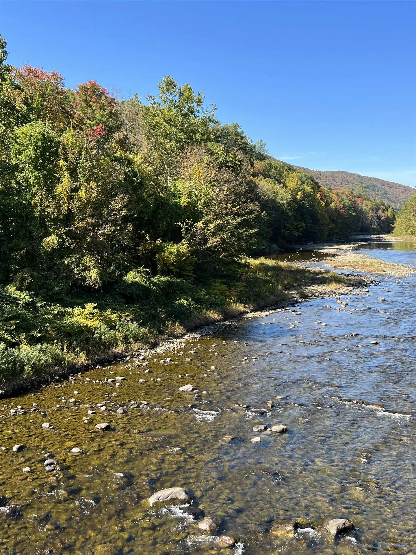 1297 River Road Jamaica VT 05343