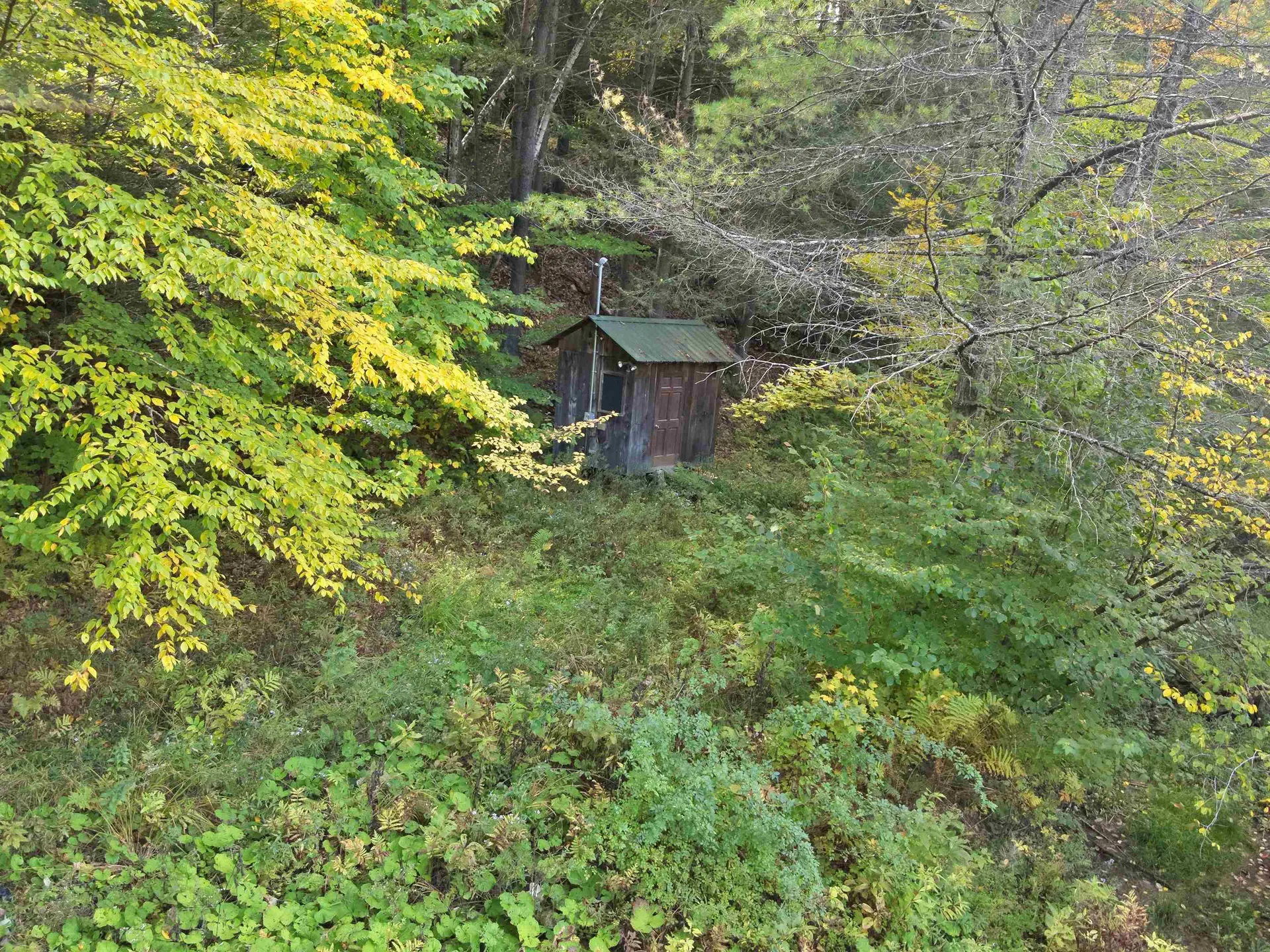 1297 River Road Jamaica VT 05343