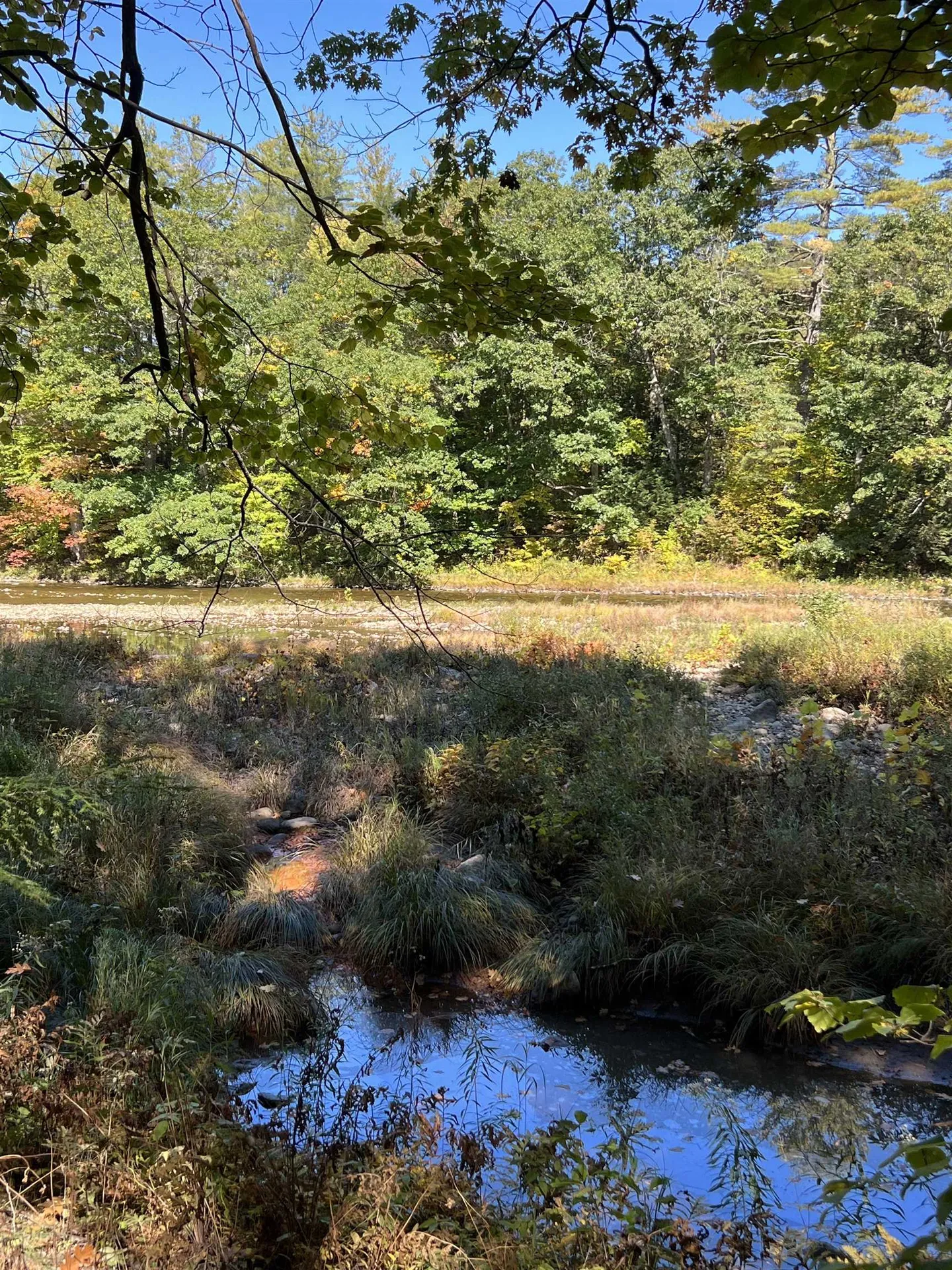 1297 River Road Jamaica VT 05343
