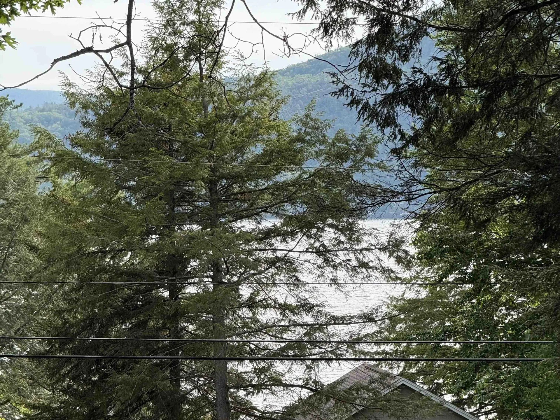 114 Shore Drive N Bridgewater NH 03222