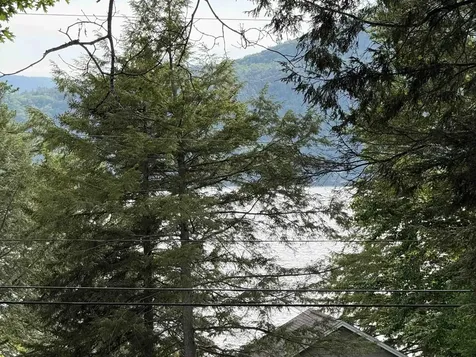 114 Shore Drive N Bridgewater NH 03222