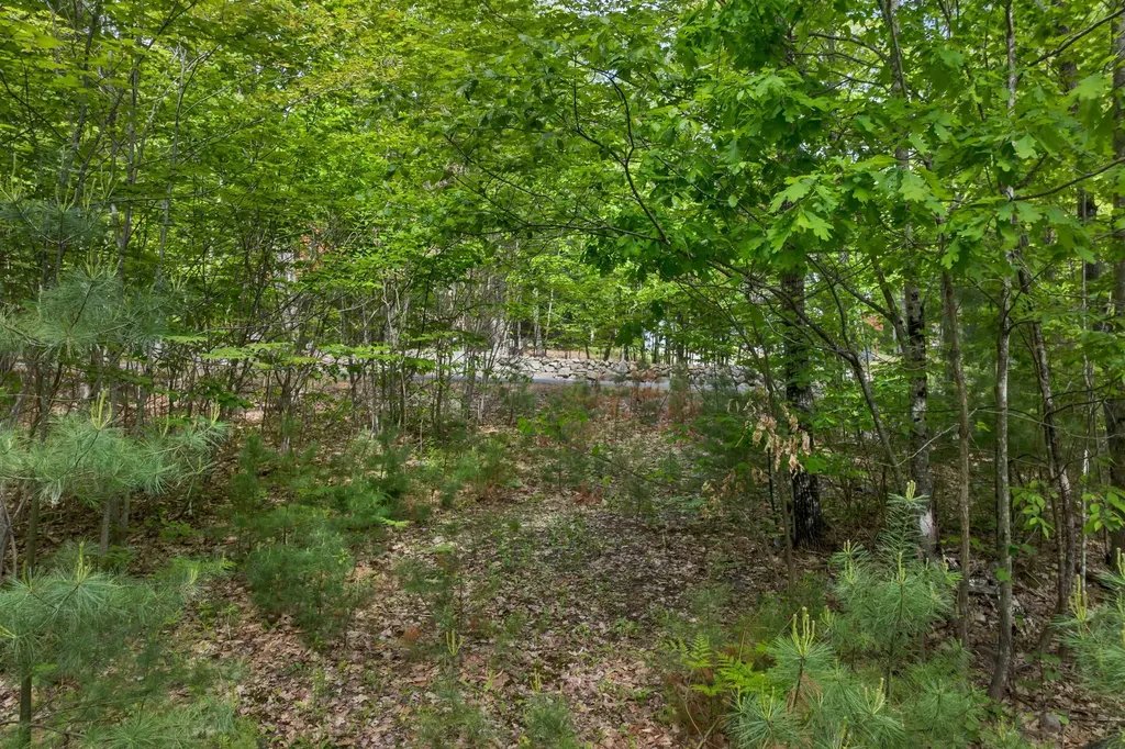 28 & 34 Hanson Mill Road Moultonborough NH 03254