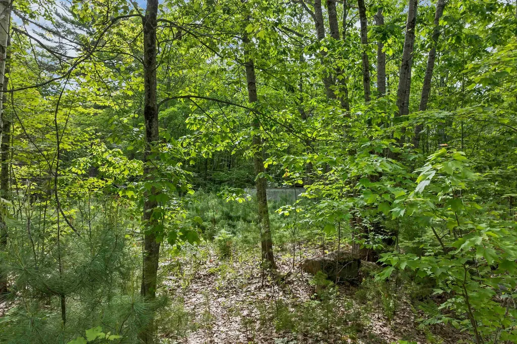 28 & 34 Hanson Mill Road Moultonborough NH 03254