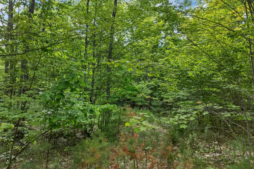 28 & 34 Hanson Mill Road Moultonborough NH 03254