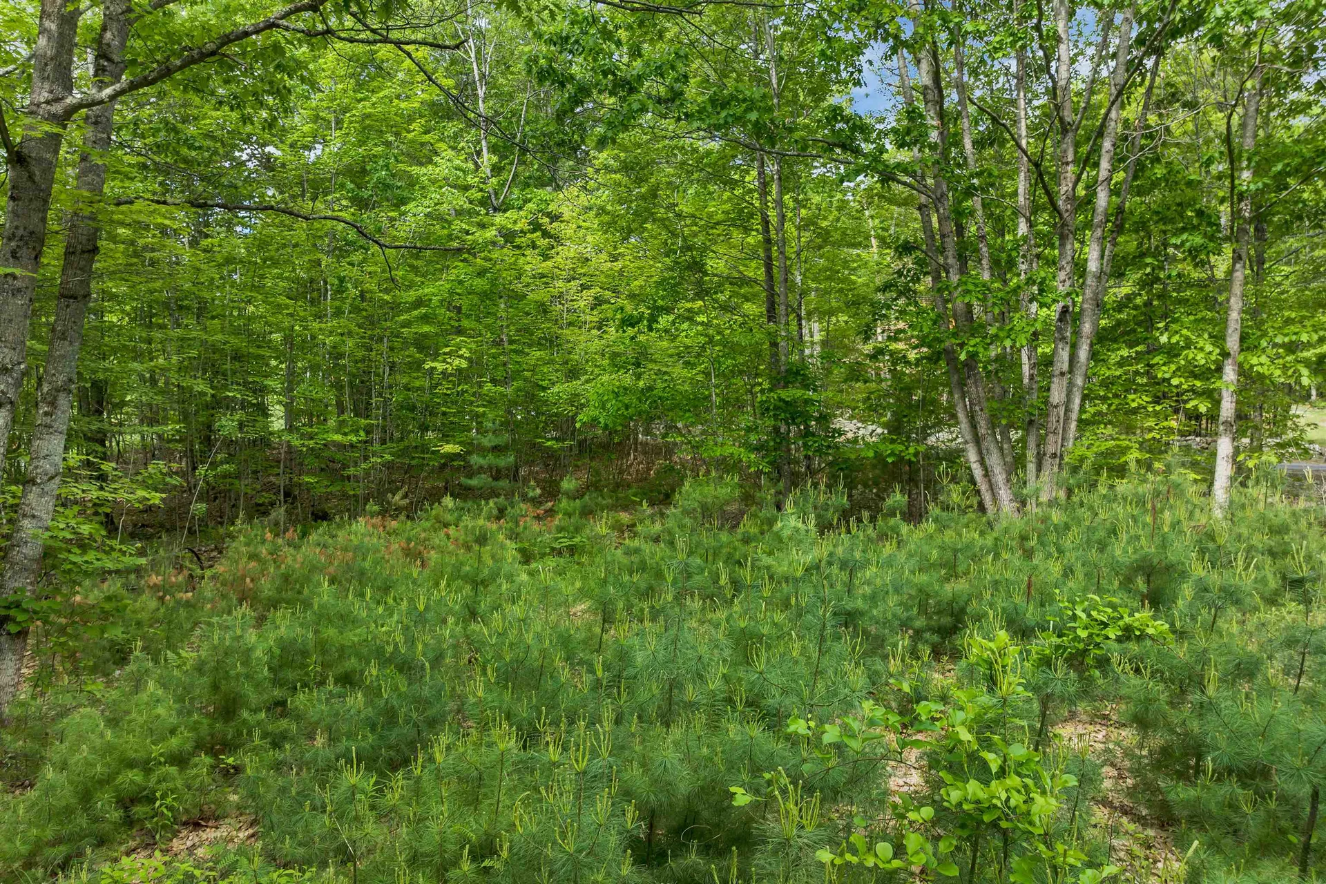 28 & 34 Hanson Mill Road Moultonborough NH 03254