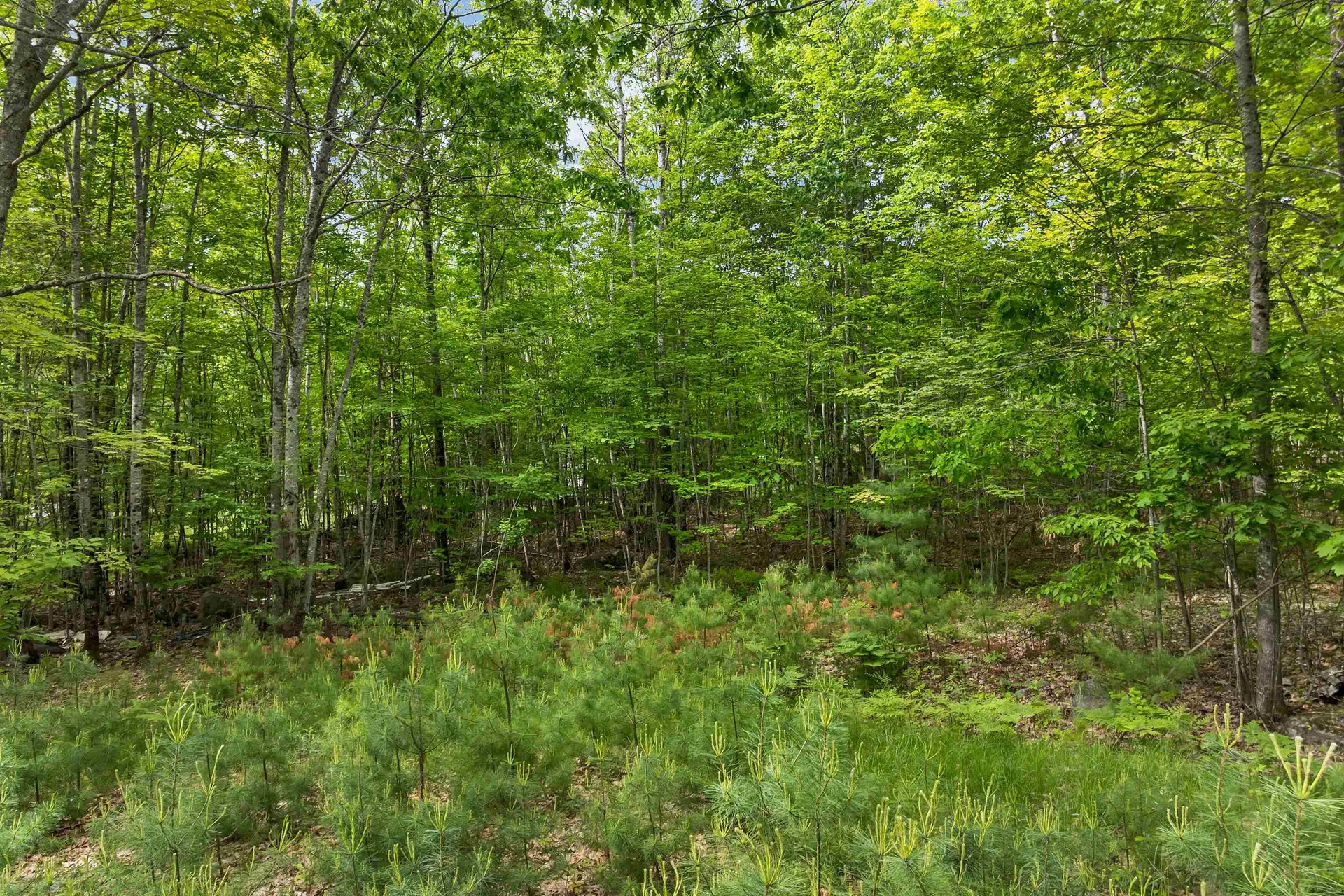 28 & 34 Hanson Mill Road Moultonborough NH 03254