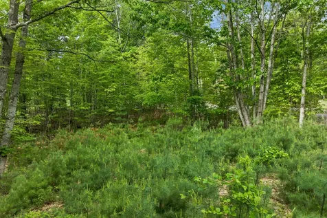 28 & 34 Hanson Mill Road Moultonborough NH 03254
