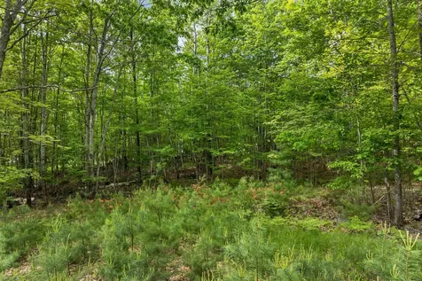 28 & 34 Hanson Mill Road Moultonborough NH 03254