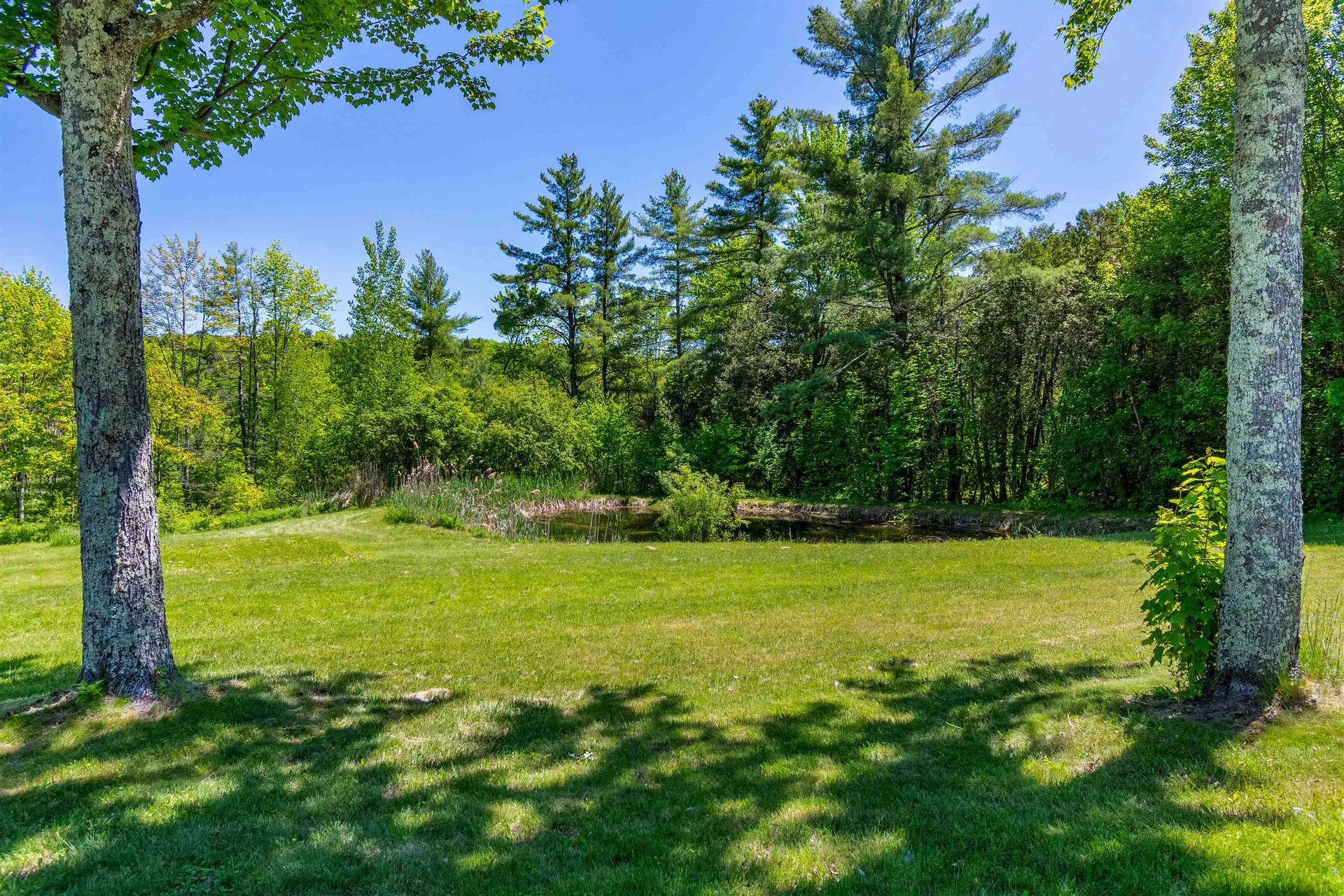 219 Cedar Drive Sheldon VT 05483