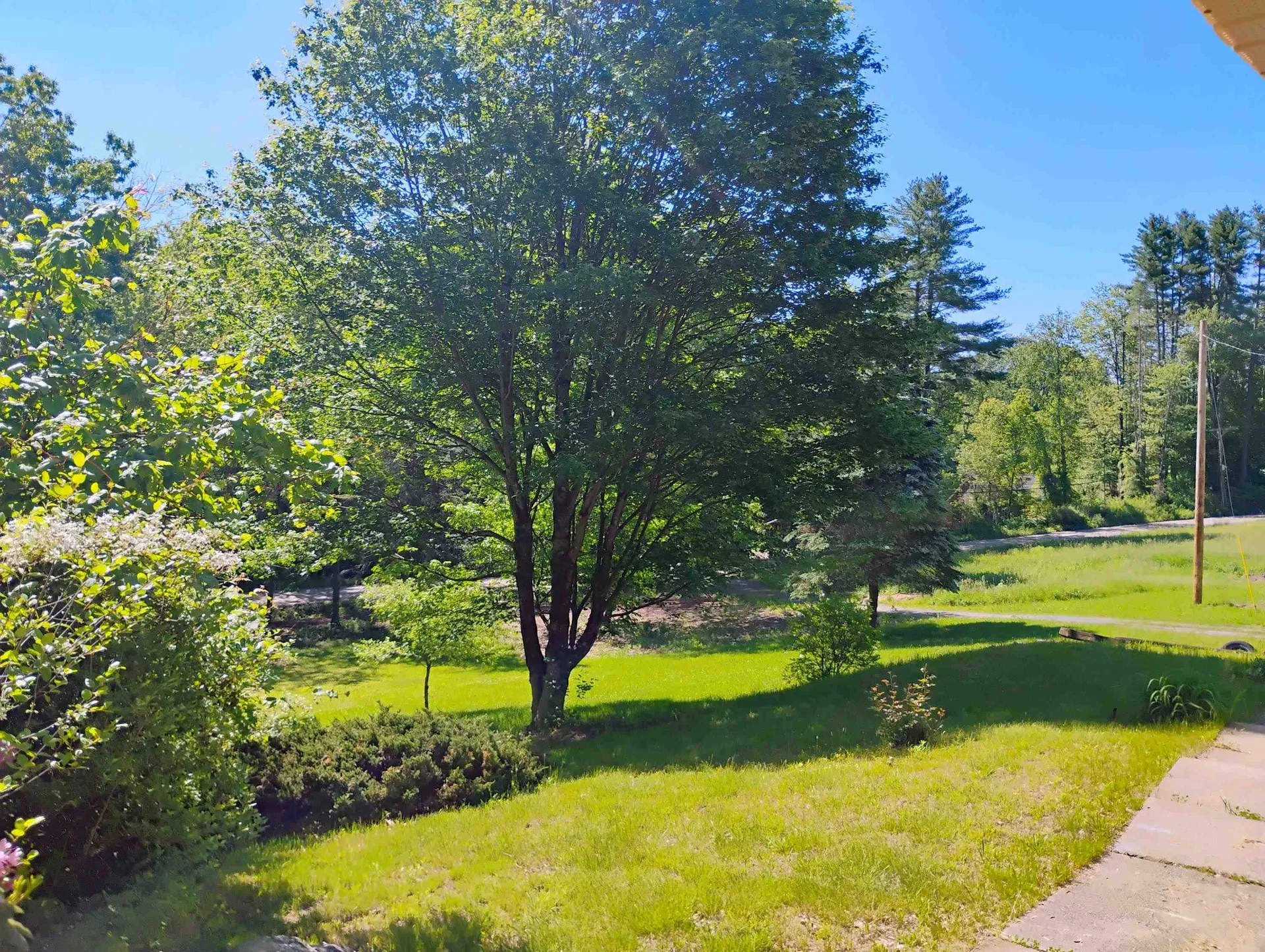 2117 Pine Banks Road Westminster VT 05158